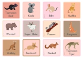 Australian Animal Flash Cards (Neutral)