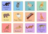 Australian Animal Flash Cards (Pastel Rainbow)