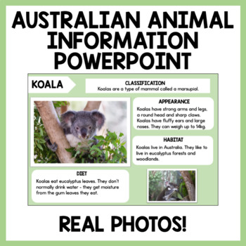 Preview of Australian Animal Information Report Writing  PowerPoint with Real Photos 