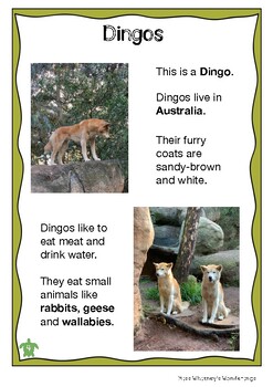 Preview of Australian Animal Profile: DINGO