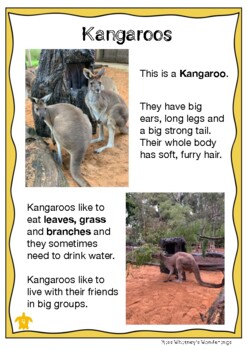 Preview of Australian Animal Profile: KANGAROO