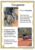 Australian Animal Profile: KANGAROO