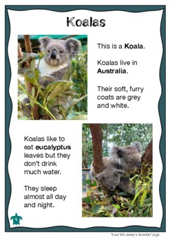 Koalii's Profile 