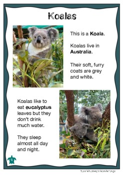 Preview of Australian Animal Profile: KOALA