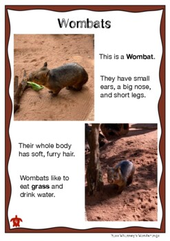 Preview of Australian Animal Profile: WOMBAT