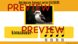 Australian Animal Rhythm Lesson