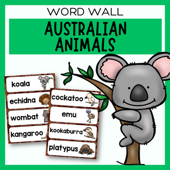 Preview of Australian Animal Word Wall | Australia Flashcards