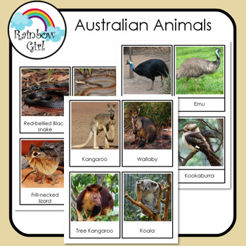 eskortere spil Et centralt værktøj, der spiller en vigtig rolle Australian Animals by Rainbow Girl | Teachers Pay Teachers