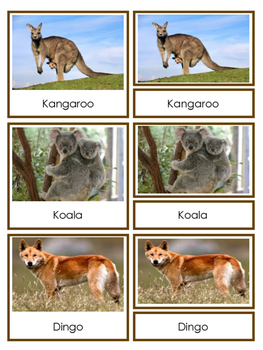 Preview of Australian Animals 3-part Cards in English and Spanish - Animales de Australia