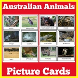 Australian Animals Activity Preschool Kindergarten 1st 2nd