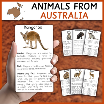 Preview of Australian Animals | Animals from Australia Informational Cards / Flashcards