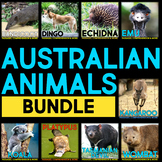 Australian Animals BUNDLE: Nonfiction Animal Research & Co