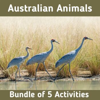 Preview of Australian Animals | Boom Cards Bundle | Quizzes Games Reading Comprehension