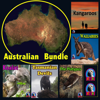 Preview of Australian Animals PowerPoint Bundle & Activities