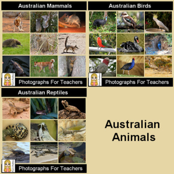 Australian Animals Bundle by Aisne's Creations | TPT