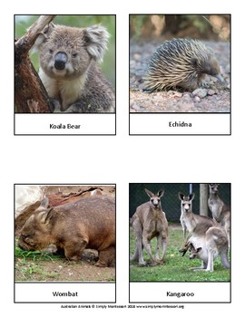 Preview of Australian Animals Cards