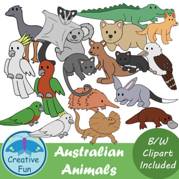 Download Australian Animals Clip Art By Creative Fun Teachers Pay Teachers