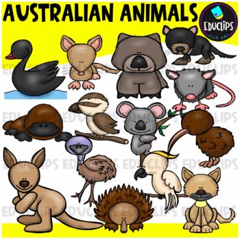 Preview of Australian Animals Clip Art Set {Educlips Clipart}