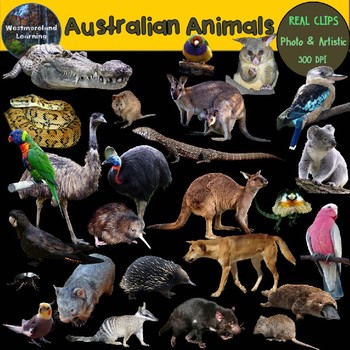 Preview of Australian Animals Clip Art Real Clips Photo & Artistic Digital Stickers