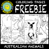 Australian Animals Coloring Pages FREEBIE by Jason Ferguson