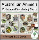 Australian Animals - Display Posters and Vocabulary Cards