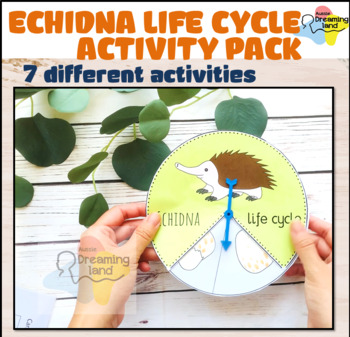 Preview of Australian Animals | Echidna life cycle facts | Echidna life cycle activity pack