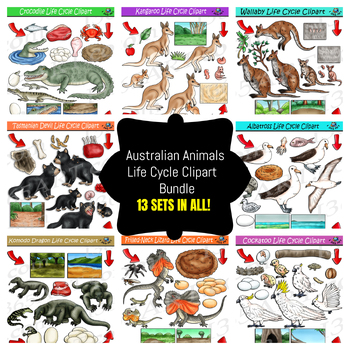 Preview of Australian Animals Life Cycle Clipart Bundle