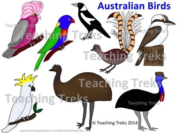 lyre bird clipart jpg