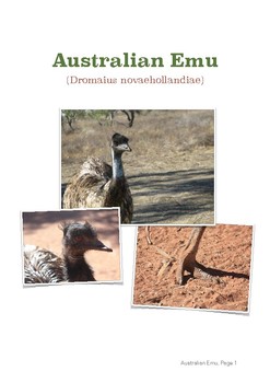 Preview of Australian Emu