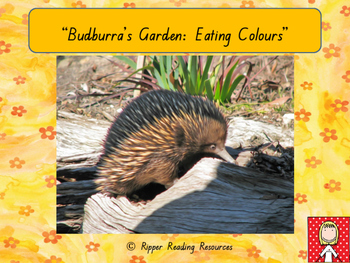 Preview of Australian Indigenous story "Budburra's Garden" - food, health and nutrition