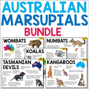Preview of Australian Marsupials Information Texts Bundle - Koala, Kangaroo, Wombat, Numbat