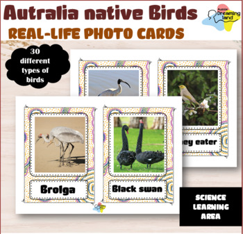 Preview of Australian Native Bird Photo cards| 30 Photos types of Australian BIRDS