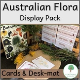 Australian Native Wildflowers Display Pack