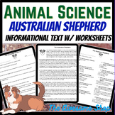 Australian Shepherd Dog Informational Text for Vet Tech & 