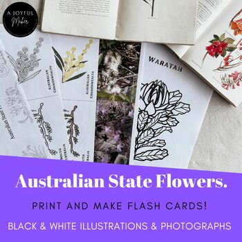Preview of Australian State Flower Flash Cards/Nature Study/Nature Printable's