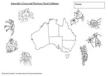 Preview of Australian State and Territory Floral Emblems - Symbols of Australia