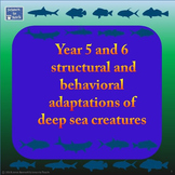 Australian Version - Adaptations of deep sea creatures