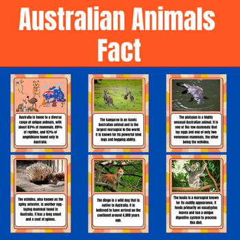 Preview of Australian Wildlife Wonders: Animal Facts Flashcards