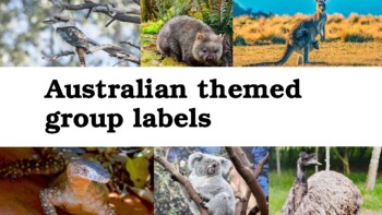 Preview of Australian animal theme small group/table labels