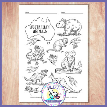 Australian animals coloring pages by BuzzPrintables | TPT