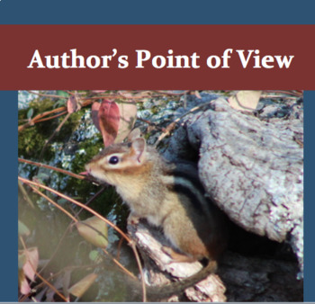Preview of Author's Point of View Presentation