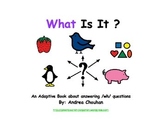 Autism Adaptive Book - WHAT is it? by green bean kindergarten