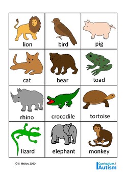 Autism Animals Flash Cards Sort Match Special Education Vocabulary