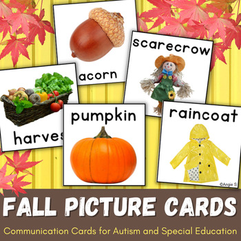 Fall Vocabulary Cards For Autism By Angie S Teachers Pay Teachers