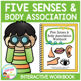 Five Senses & Body Association Interactive Workbook Speech Autism
