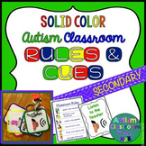 Autism Middle & High School Classroom Visual Rules & Cuein
