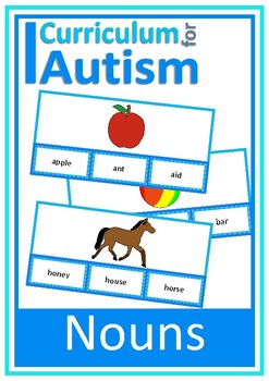 Preview of Nouns Vocabulary Picture Match Sight Words Cards Autism Special Education