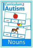 Nouns Vocabulary Picture Match Sight Words Cards Autism Sp