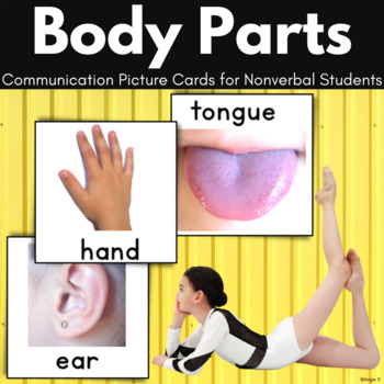 Preview of Parts of the Body Flashcards | Autism Visuals for Nonverbal Learners Special Ed