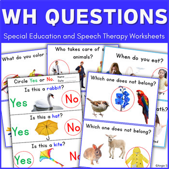 Preview of WH Questions Speech Therapy Worksheets with Visuals Autism Special Ed Pictures